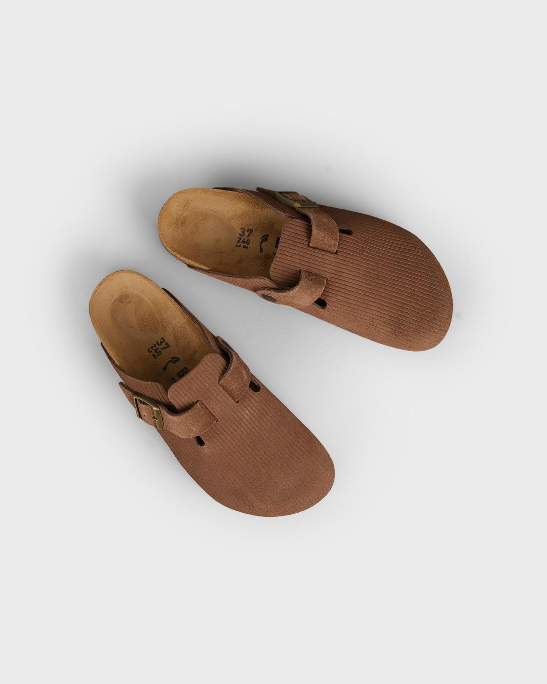 Boston Corduroy Dark Tea Boston Corduroy Dark Tea