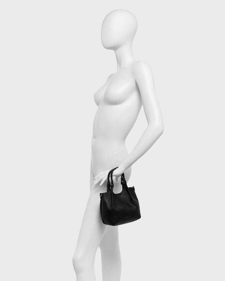 Dua Black Castoro