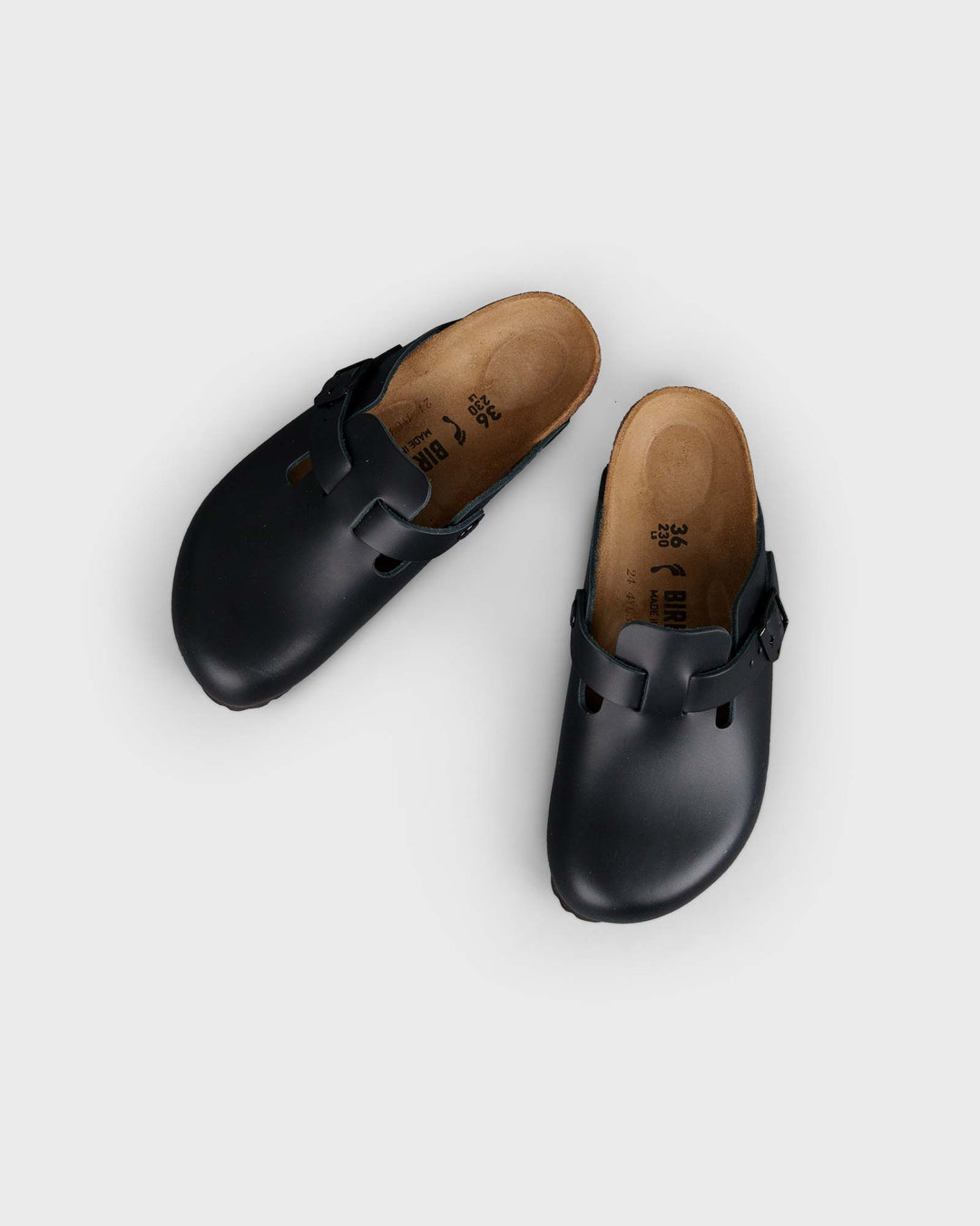 Boston Black
