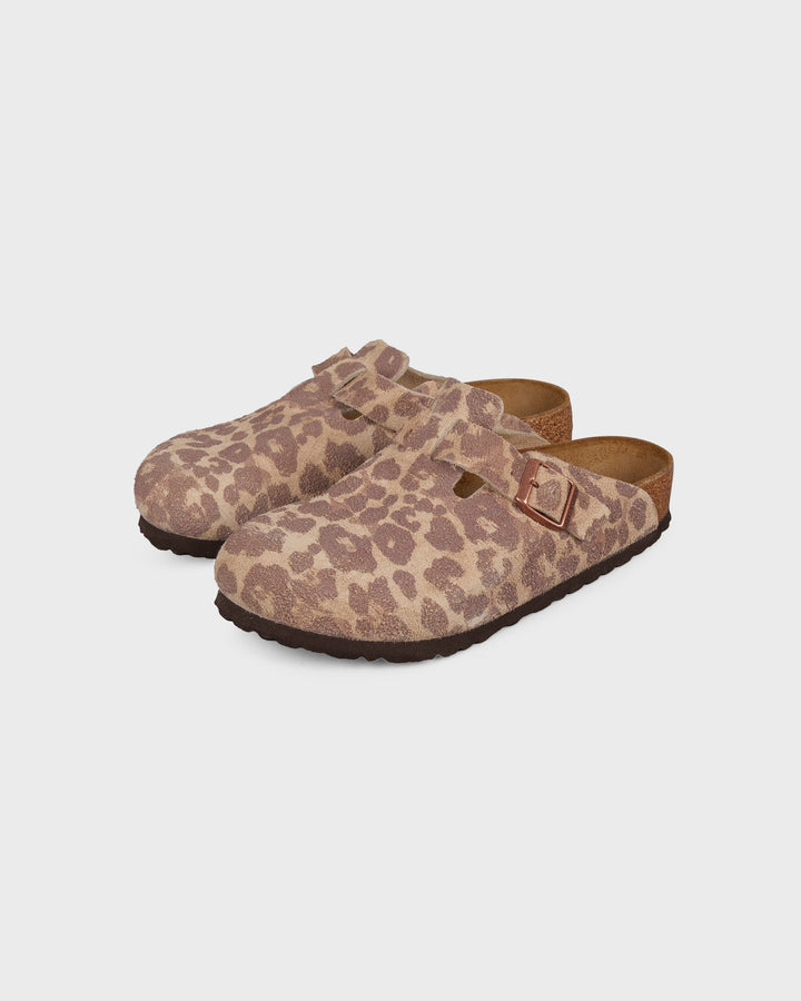Boston BS Suede Leather Unisex Syn Leo Sa