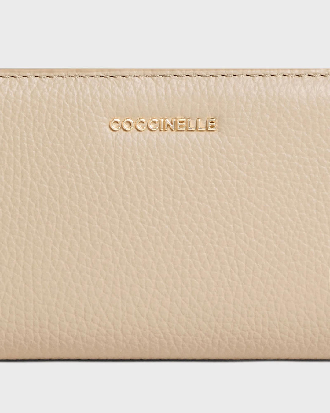 Metallic Soft Large Sandshell
