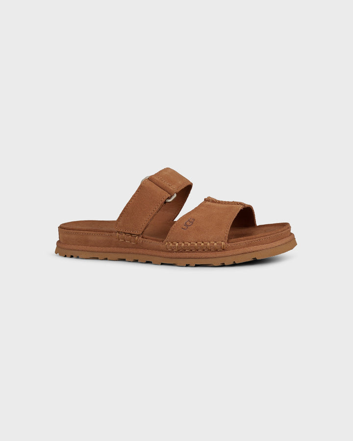 Goldengaze Slide Chestnut