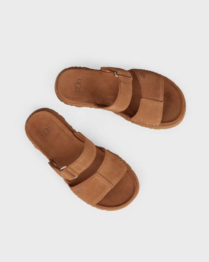 Goldengaze Slide Chestnut