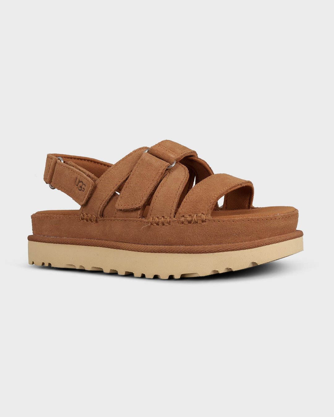 Goldenstar Gleam Chestnut