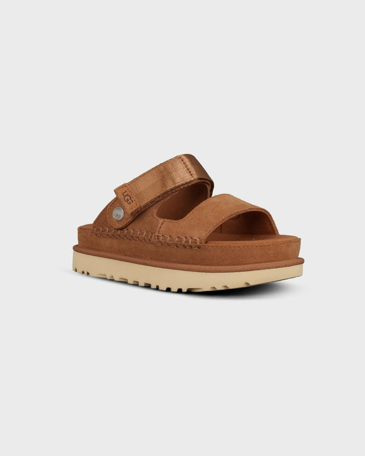Goldenstar Glide Chestnut