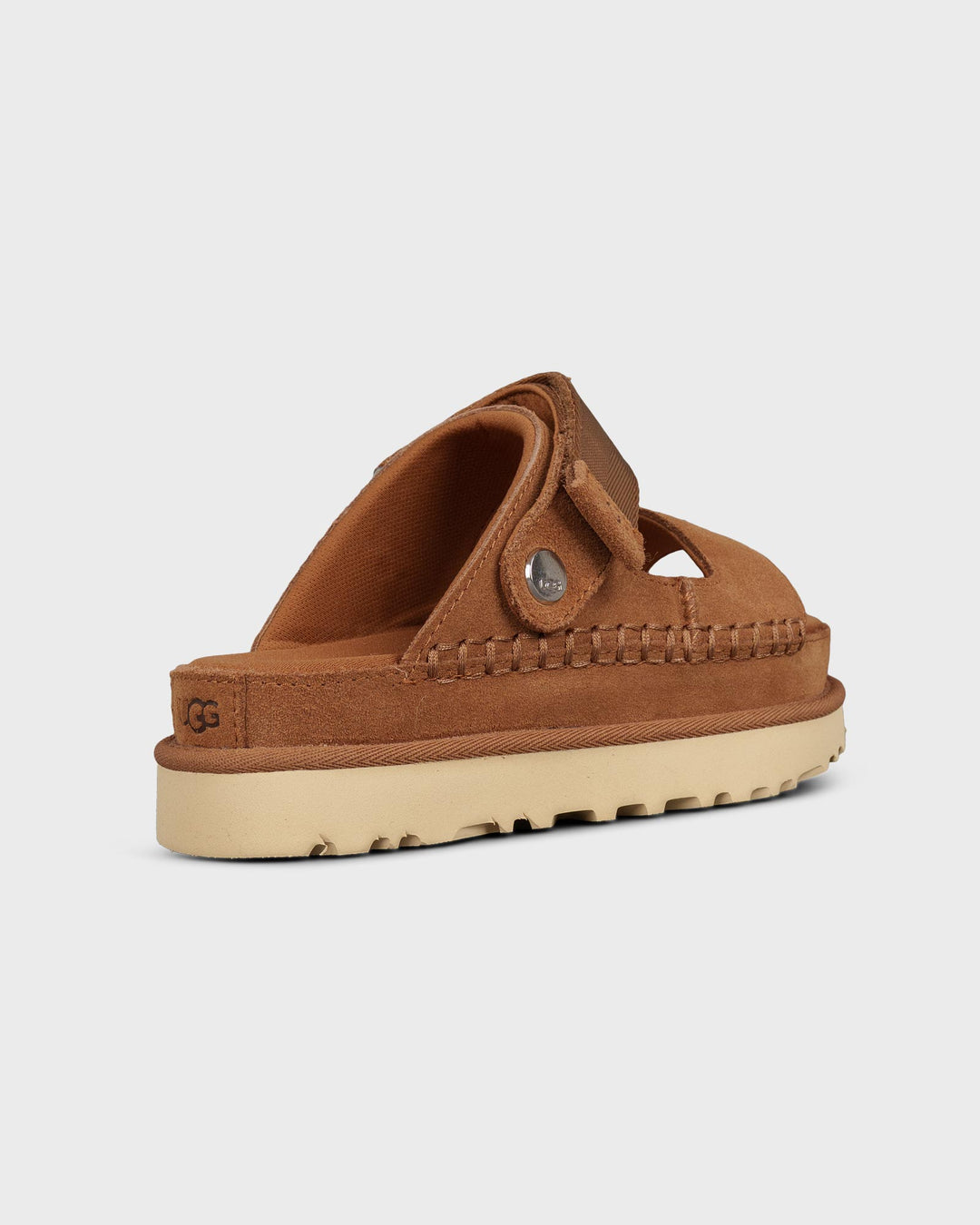 Goldenstar Glide Chestnut