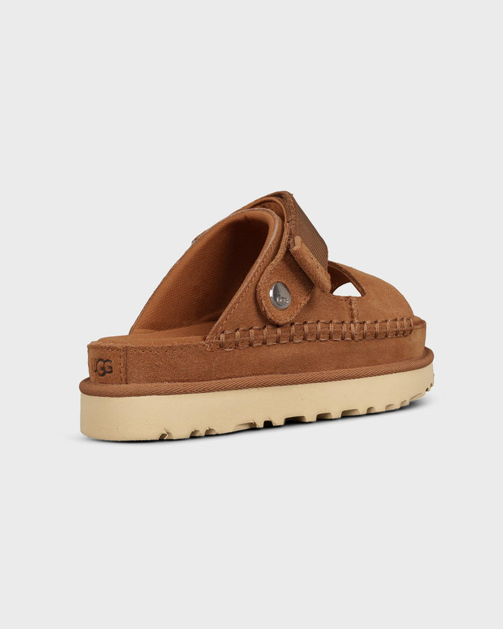 Goldenstar Glide Chestnut