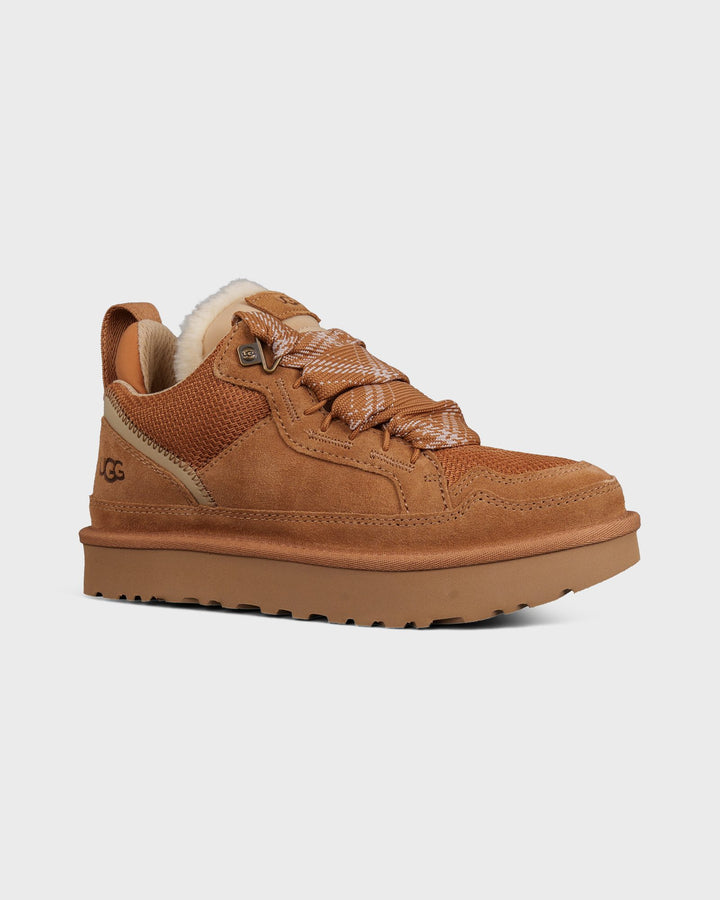 Lowmel Chestnut – Bild 4