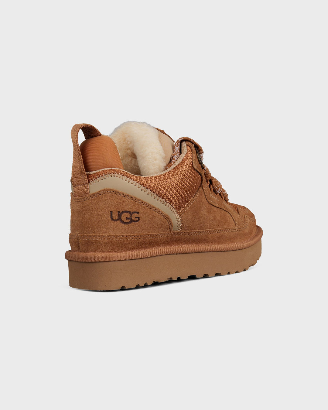 Lowmel Chestnut – Bild 5