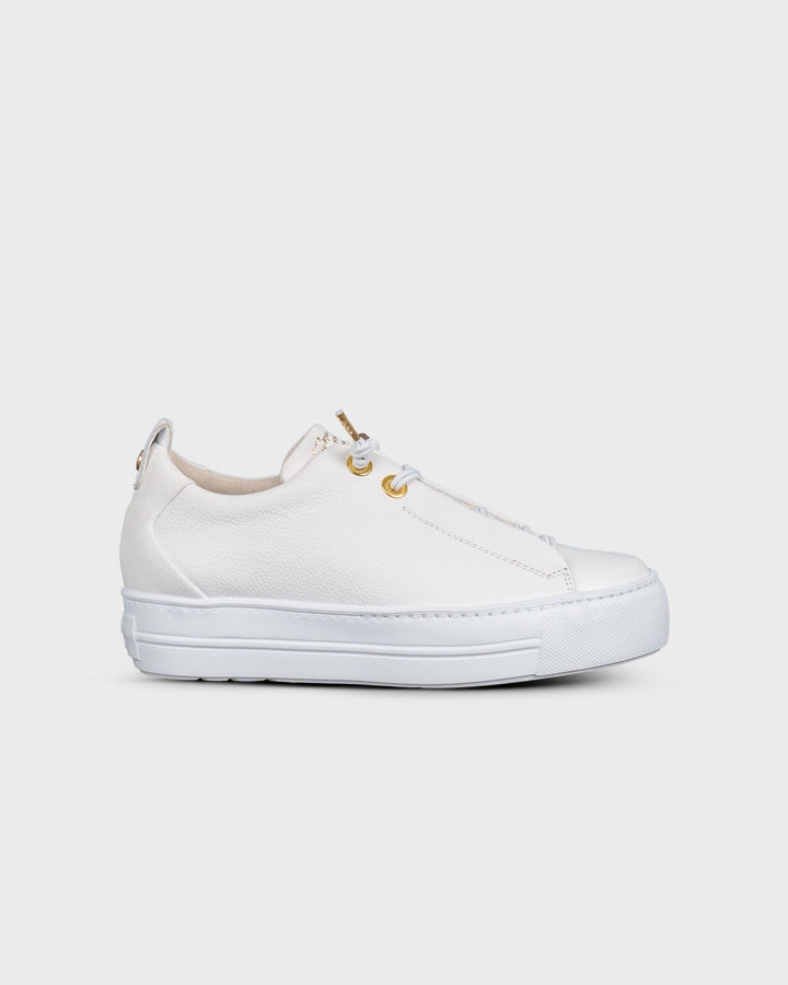 Sneaker Maincalf White/Gold