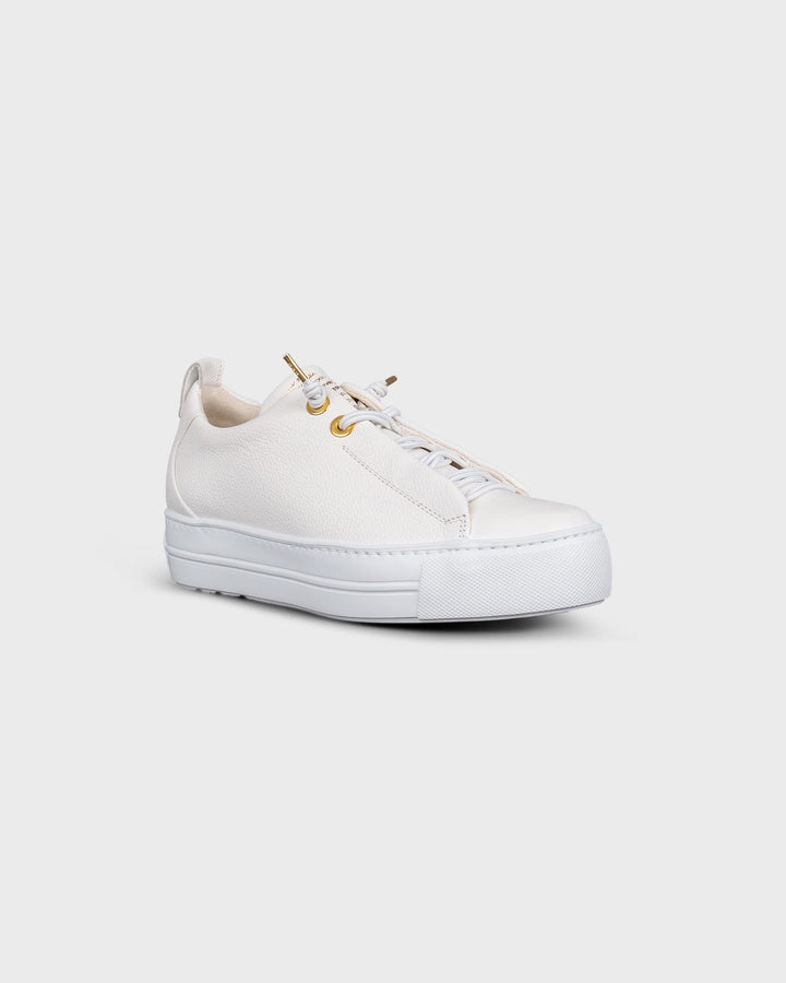 Sneaker Maincalf White/Gold