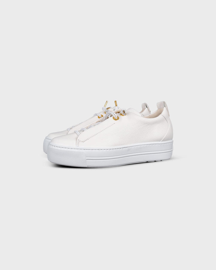 Sneaker Maincalf White/Gold