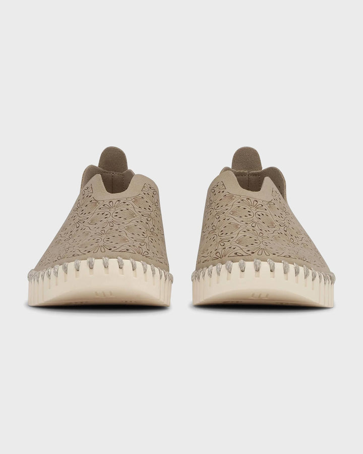 Tulip Organic Flat Coriander Pearled Ivory