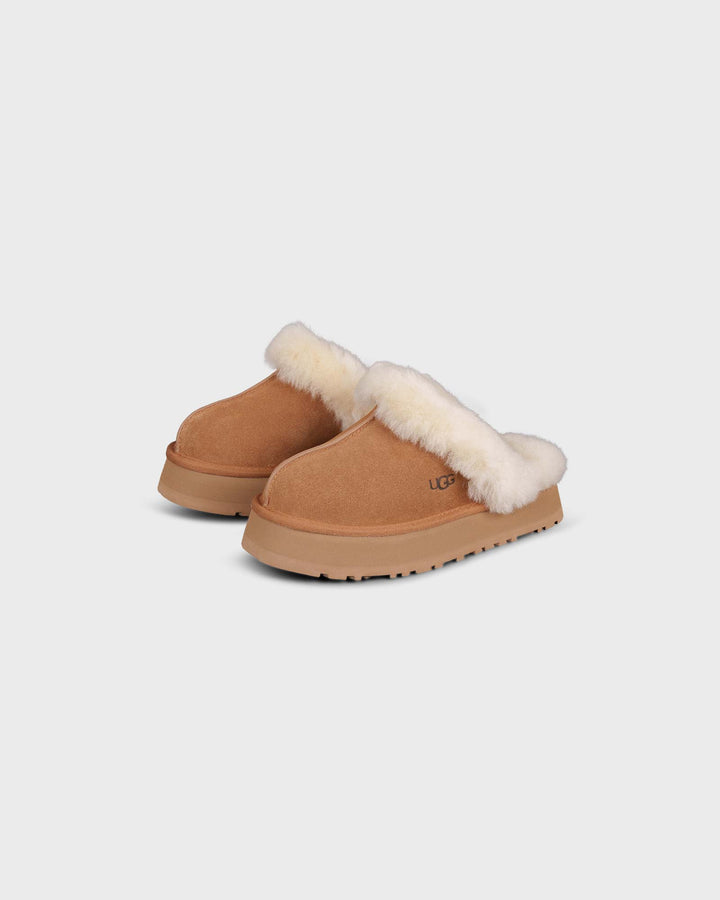 Disquette Chestnut